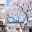 봄을 그리다 이미지