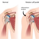 내마음엔척의원 이미지