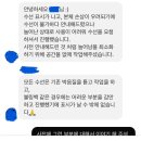 성의세탁소 | 오르ORR 가방 볼링백 라지사이즈 분노의 후기(feat.A/S)