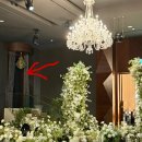 당산스크린G | <27년 웨딩 일지 - 02> 영등포웨딩홀투어 : 그랜드컨벤션센터당산 / 웨스턴베니비스영등포