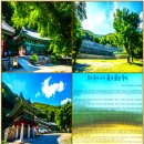 5. 後滄名詩후창명시 招待席초대석(17~20首수)/過龜巖寺贈僧暎湖(과구암사증승영호), 謹次家君樂要堂原韻 丙午 下同(근차가군락요당원 이미지