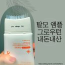 탈모 두피 앰플 그로우턴 내돈내산 한 달 차 사용 후기