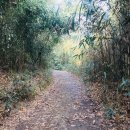 세전리 석불입상 이미지