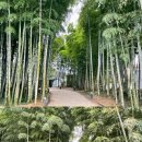 죽순농원식당 이미지