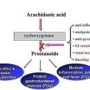 에이스약국 이미지