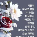 고우니 이미지