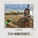 버블리 | 24개월 아기와 다녀온 버블리데이즈 후기 | 오감놀이 좋아한다면 추천