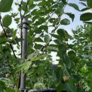 배울안농장 이미지