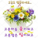 🌺🍒 사랑의 포물선 이미지