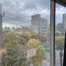 라비야호텔 이미지