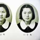 안의중학교 이미지