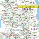 강화초지인삼센터 Daum카페