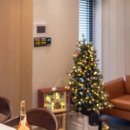 스테이오로지 이미지