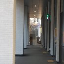 오라봉식당 네이버블로그