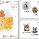 한국반려동물생활연구소