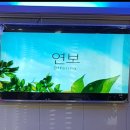 TV설치 /80인치 대형 TV설비 이미지