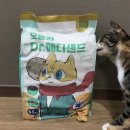 은하메디 이미지