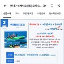 와따투어 | 오키나와 _ "와따 오키나와" 호핑투어 후기 (케라마제도에서 바다거북 보다 ..! 🌊🫧🐢🤿)