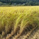 해순농장 이미지