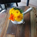 카페다올 이미지