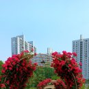 정원트레이드 Daum카페