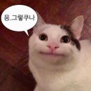 술이술떡