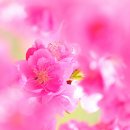 이렇게좋은날 이미지