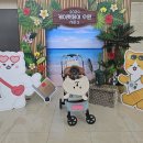 파파 펫 푸드 | 2024 케이펫페어 수원 펫박람회 첫날 후기