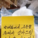 류사부 이미지