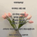 바바라뷰티샵