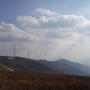 육백마지기 이미지