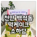 한들농장 - 영동군 장척길 119 | [백석동 떡케이크 소하담] 결혼기념일 선물로 딱! 맛까지 보장하는 고퀄리티 케이크