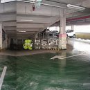 반송동217 이미지