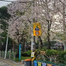 새터말어린이공원 이미지