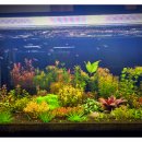 고려종합비료 이미지