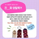 양말목 꽃방석 만들기 이미지