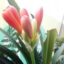 부동산랠리공인중개사사무소 이미지