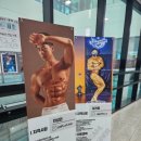 팀거너짐 이미지