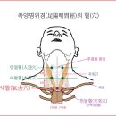 【족양명위경(足陽明胃經)】 〔ST11 기사(氣舍)족양명위경-ST11〕 "해역상기(咳逆上氣)나 호흡곤란을 치료" 이미지