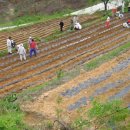 태경농장 이미지