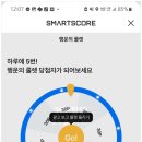 포인트골프 이미지