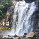 다시 꽃이 핍니다 Fusion Gugak Trot 217 이미지