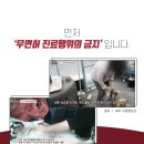 운정힐링동물병원 이미지