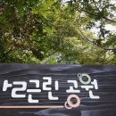 숲사랑유치원 이미지