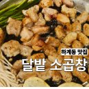 달밭소곱창 | 하계 소곱창 맛집 │달밭 소곱창 솔직 후기