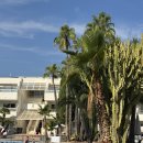 호텔노바 | [마요르카]팔마노바 FERGUS Club 호텔 후기