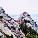 황령산유원지 생태숲(상부) | 11월 여행. 단풍 명소. 축제 인기 추천 가볼만한 곳