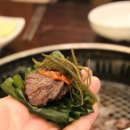 농협한우 참다운 정육식당 이미지