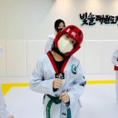 빛솔 태권도장 이미지