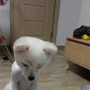 빈이네수산 네이버블로그